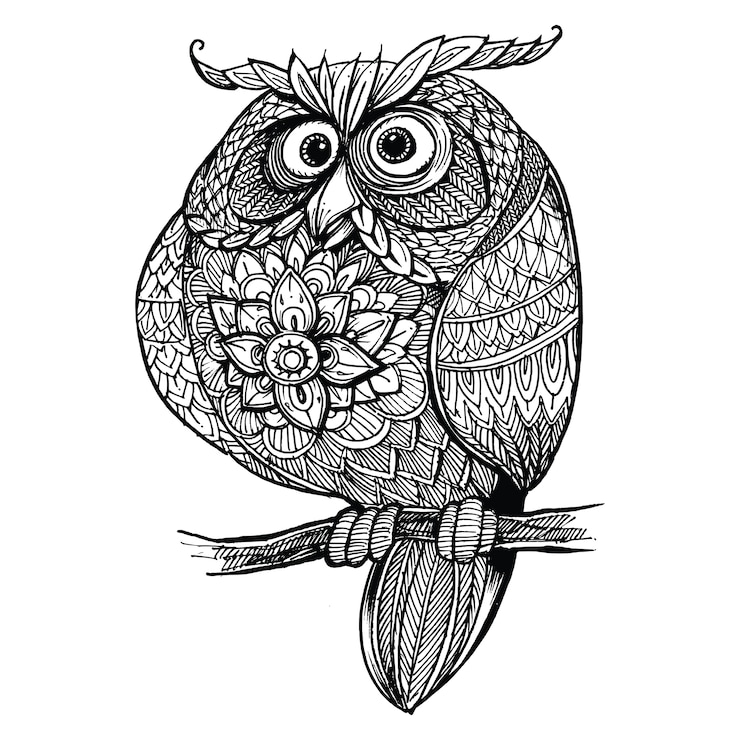 Vettore gufo di doodle ornato di seduta disegnata a mano.