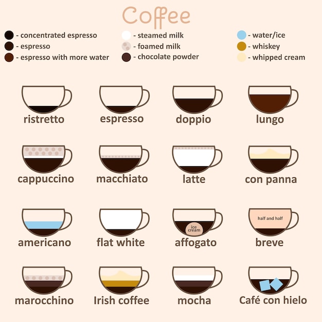 Guida espresso linea sottile icona vettore scheda