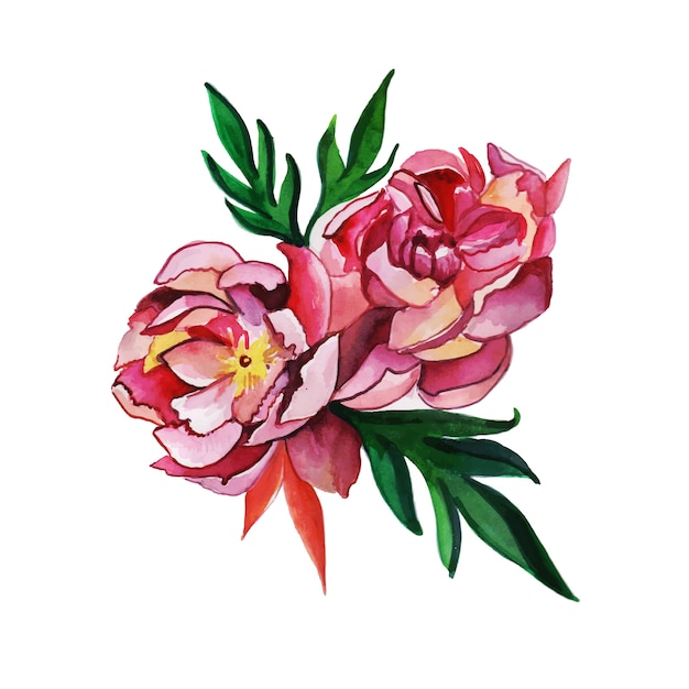 Hand Drawn Watercolor Floral singoli elementi