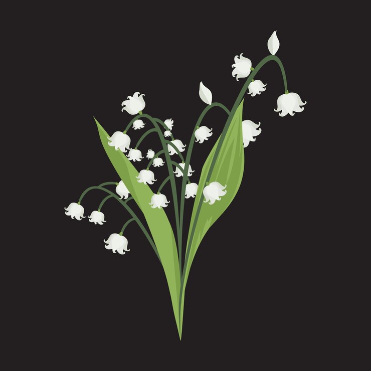 Vettore i delicati fiori bianchi della primavera del giglio della valle