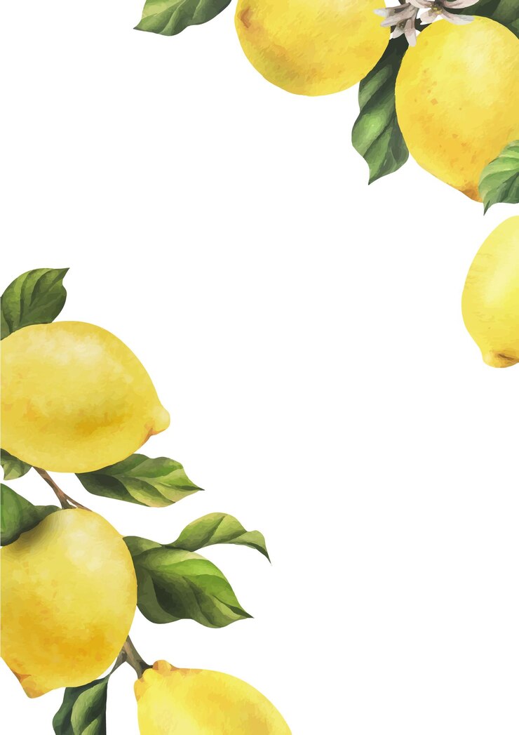 Vettore i limoni sono gialli, succosi, maturi, con foglie verdi, boccioli di fiori sui rami, interi e a fette.