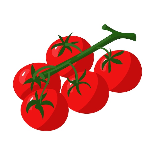 I pomodori rossi succosi sul ramo isolato simboleggiano la freschezza e la generosità naturale È ideale