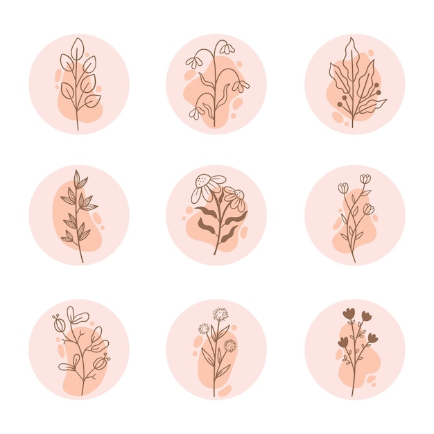 Icon Highlight Contorno di fiori di foglie botaniche disegnate a mano collezione di illustrazioni di elementi morbidi di rosa