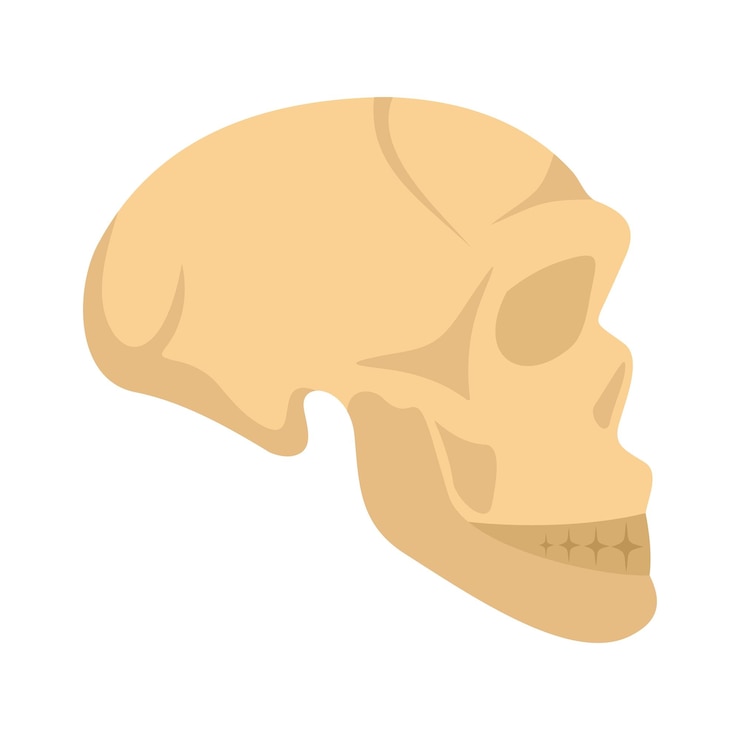 Vettore icona del cranio dell'uomo dell'età della pietra illustrazione piana del cranio del uomo dell'epoca della pietra icona vettoriale per il web design