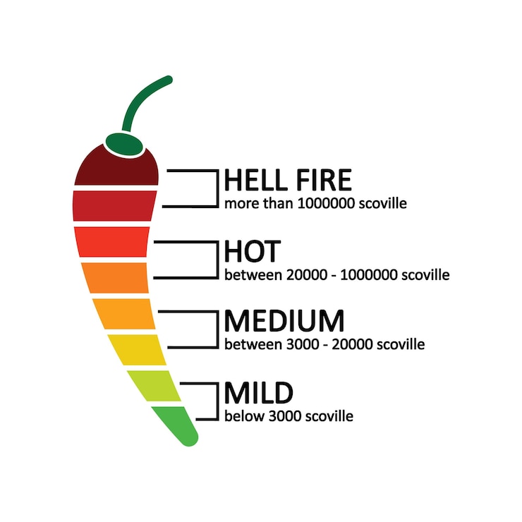 Icona del livello di piccantezza del peperoncino Simbolo di illustrazione del livello di piccantezza del cibo piccante Segno vettore infografico alimentare