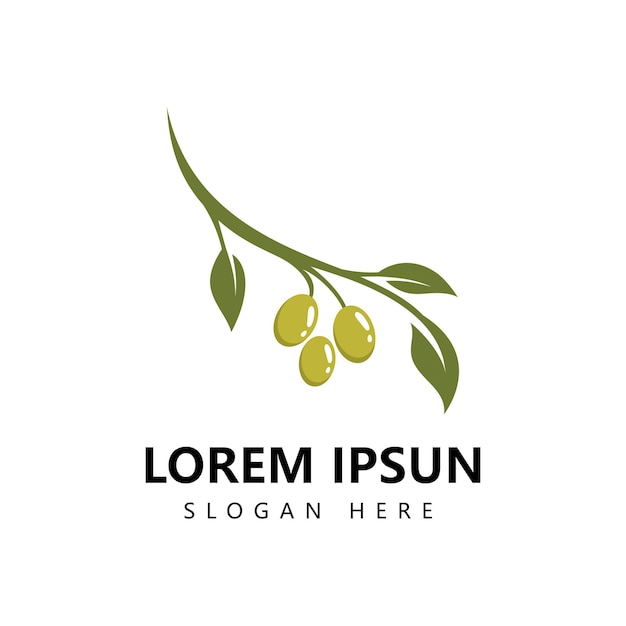 Icona del logo dell'oliva e vettore del modello del logo dell'olio d'oliva