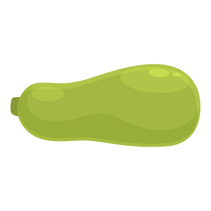 Vettore icona del midollo vegetale vettore cartone animato zucchine agricole cibo verde
