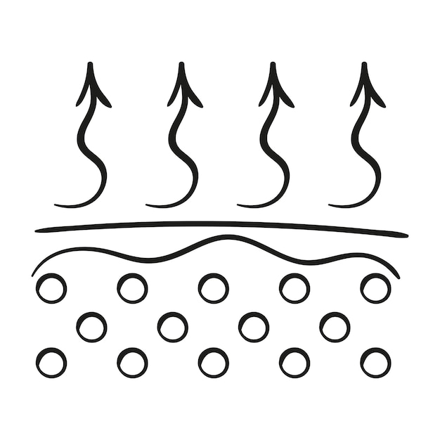 Icona della linea di elasticità della pelle Strati della pelle con frecce verso l'alto Vettore