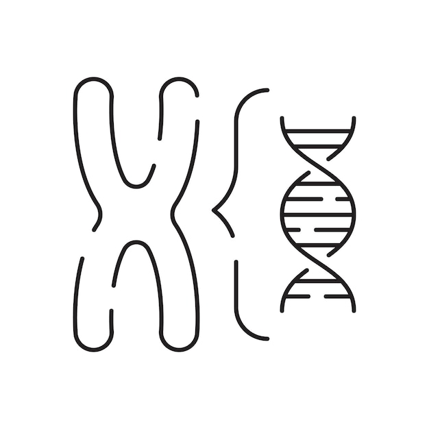 Icona della linea vettoriale di ingegneria genetica Ricerca di laboratorio di genetica Illustrazione piatta del vettore del simbolo lineare della scienza agricola