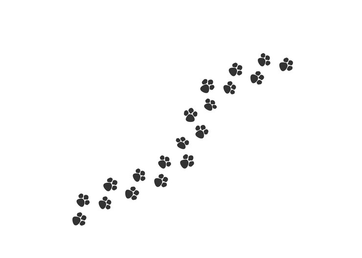 Icona della traccia della stampa della zampa Simbolo dell'illustrazione del gatto del cane dell'impronta vettore di contrassegno canino