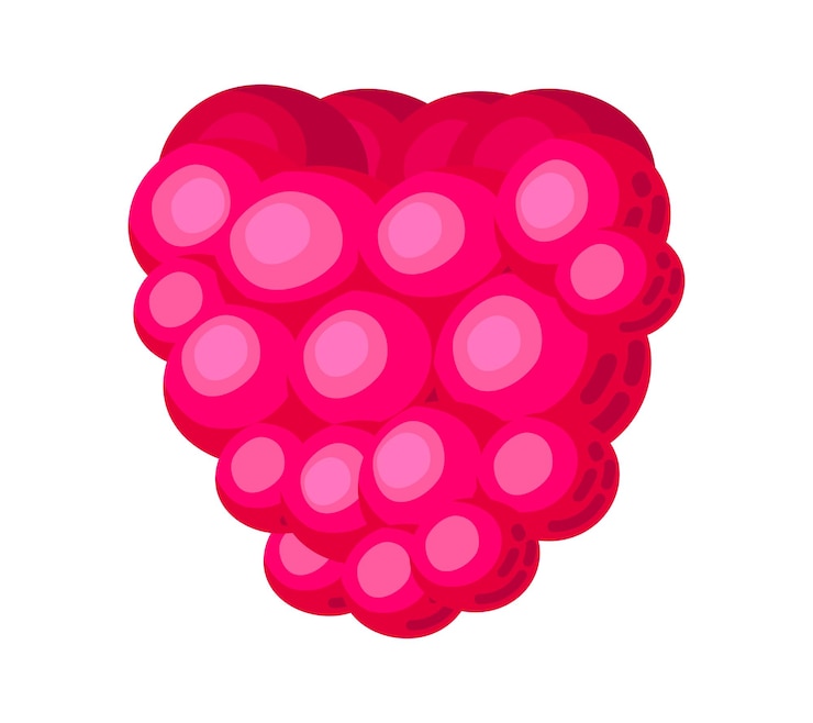 Vettore icona di frutta lampone cartoon colorato isolato su sfondo bianco doodle semplice vettore estate cibo succoso pacchetto di succo o elemento di design del logo