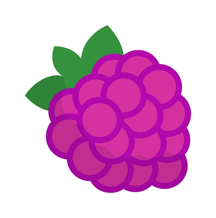 Vettore icona di frutta lamponi illustrazione vettoriale