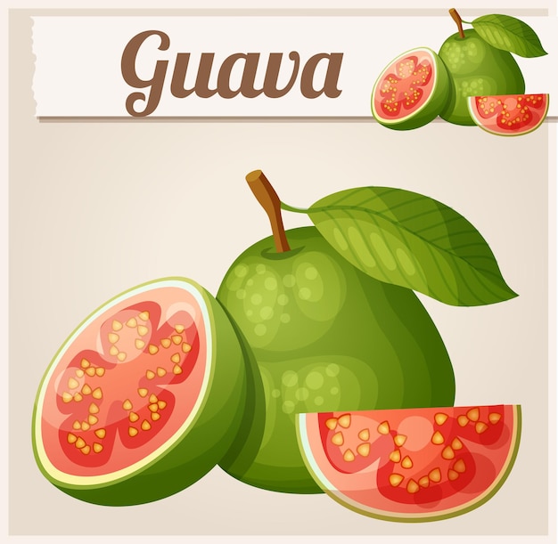 Icona di vettore del fumetto di frutta guava