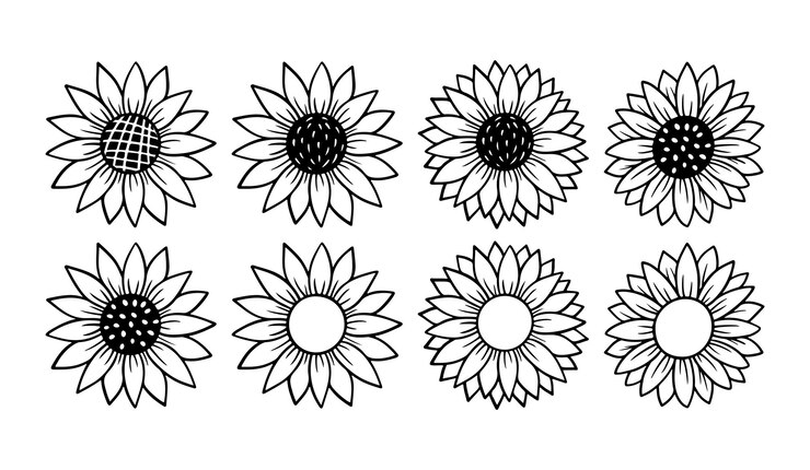 Icona semplice del girasole. Illustrazione di vettore della siluetta del fiore. Logo grafico del girasole, icona disegnata a mano per l'imballaggio, l'arredamento. Cornice di petali, sagoma nera isolata su sfondo bianco