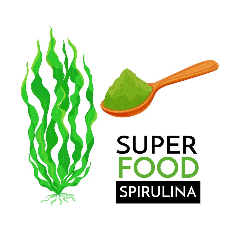 Vettore icona spirulina.