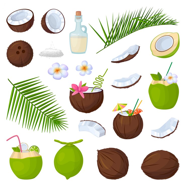 Icona stabilita del fumetto isolata noce di cocco.