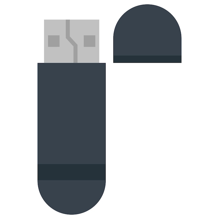 Vettore icona vettoriale piatta scheda di memoria flash usb isolata su sfondo bianco