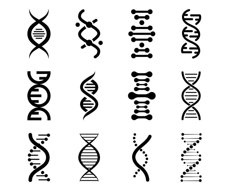 Vettore icone del dna insieme vettoriale di elementi dna vita gene modello bio codice genetica molecola simboli medici struttura molecola cromosoma icona pittogramma dna segno genetico elementi e collezione di icone