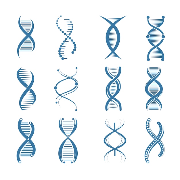 Icone del DNA. Simboli medici medici dei rappresentanti della struttura umana di biologia genetica isolati