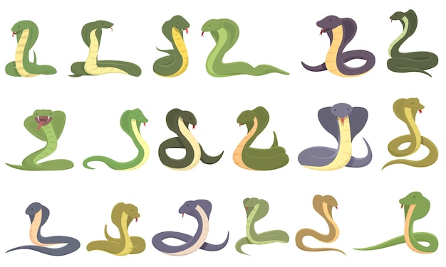 Icone del re cobra impostate vettore cartone animato Animale serpente