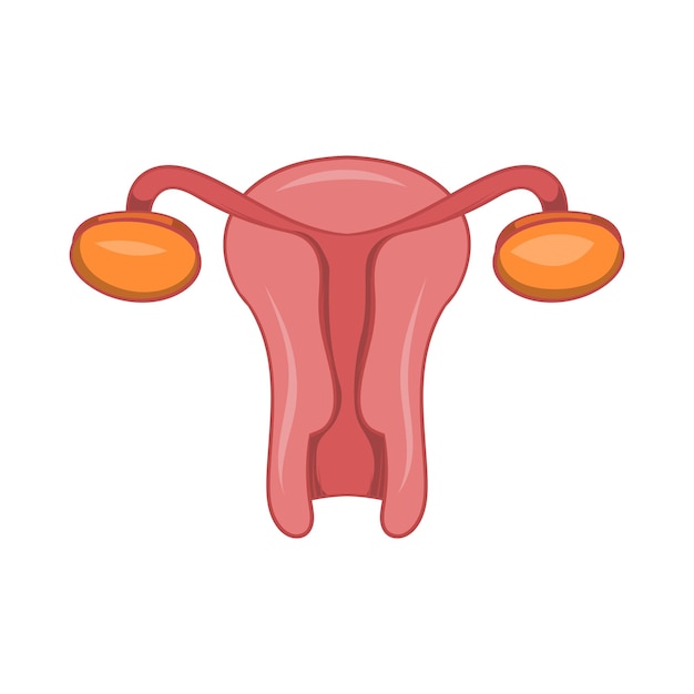 Iconica dell'organo sessuale femminile in stile cartone animato isolata su sfondo bianco Simbolo degli organi umani