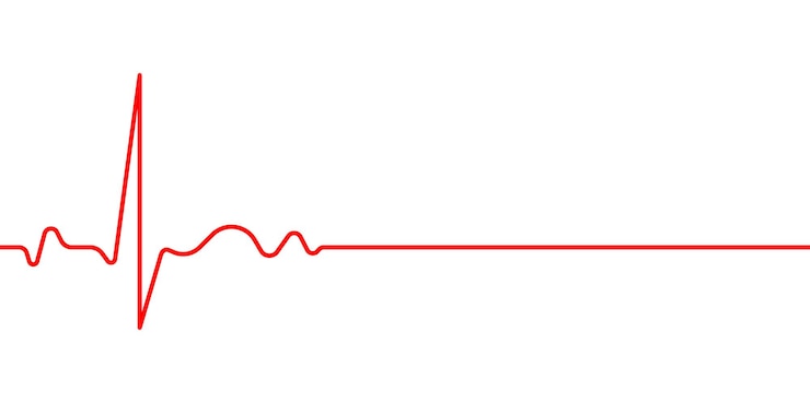 Vettore iconica della linea del battito cardiaco rossa su sfondo bianco