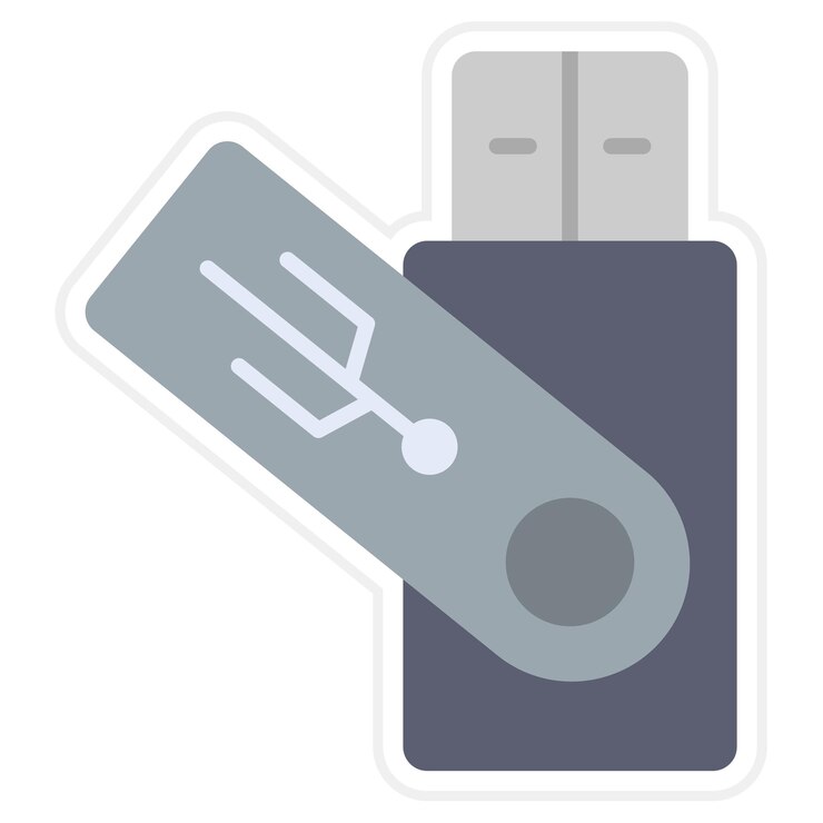Vettore iconica della pen drive