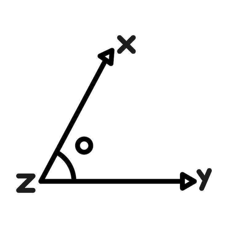Vettore iconica delle coordinate