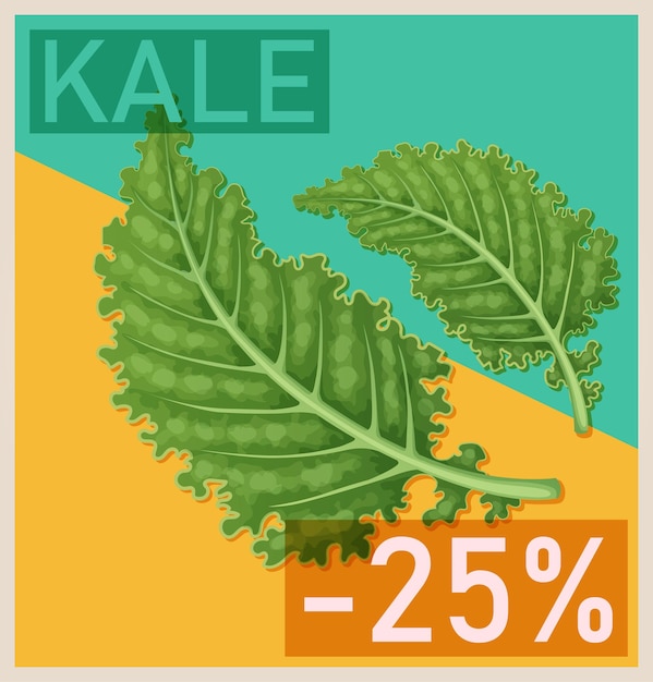 Iconica di foglie di cavolo verde Illustrazione di cibo sano Grafica di progettazione vettoriale di cartoni animati per la promozione del supermercato.