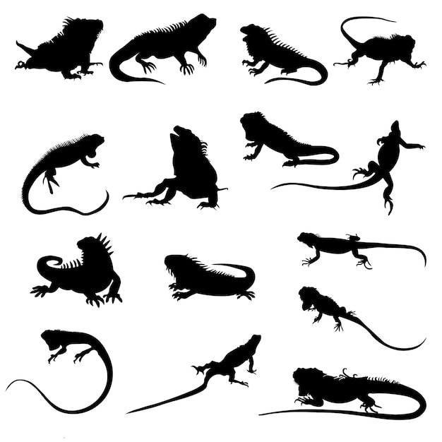 Iguana vettore Iguana rettile vettore illustrazione EPS design per la fauna selvatica esotica