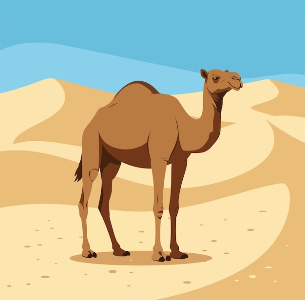 Il cammello nel deserto
