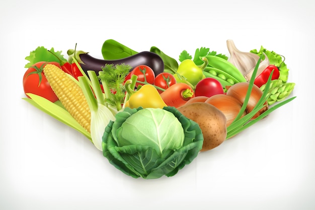 Il cavolo, raccoglie l'illustrazione succosa e matura di vettore delle verdure