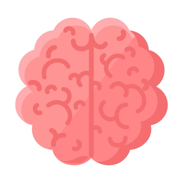Il cervello umano vista dall'alto Icon Convolutions of Human