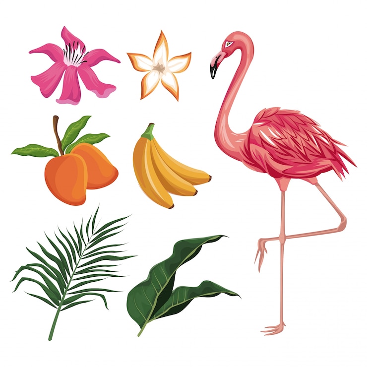 Vettore il fiore della banana del mango del fenicottero lascia la natura tropicale