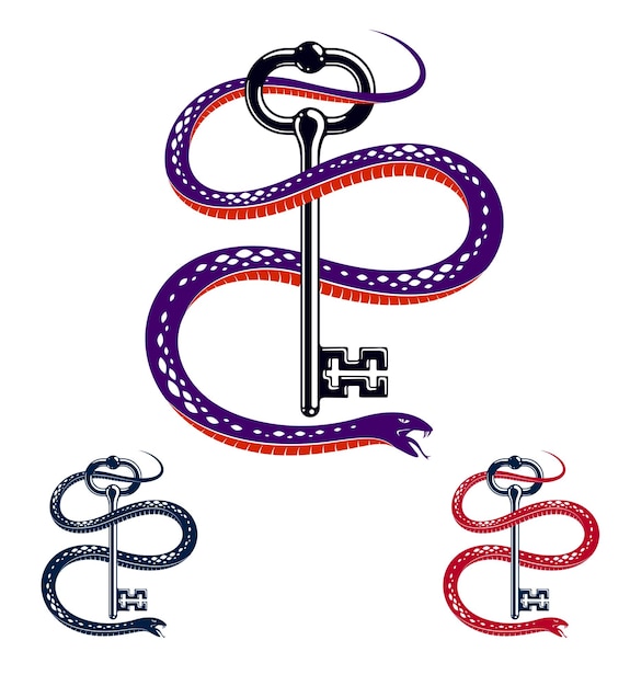 Il serpente avvolge la chiave vintage, il concetto segreto protetto, il tatuaggio vecchio stile chiavi in mano e il serpente, il logo o l'emblema del simbolo vettoriale.