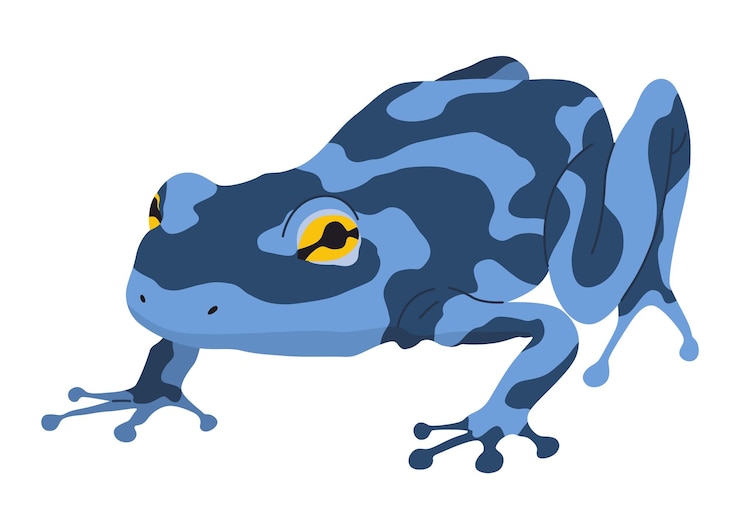 Vettore il tipo di animale anfibio rana o rospo di rettile tropicale esotico vettoriale piatto illustrato su