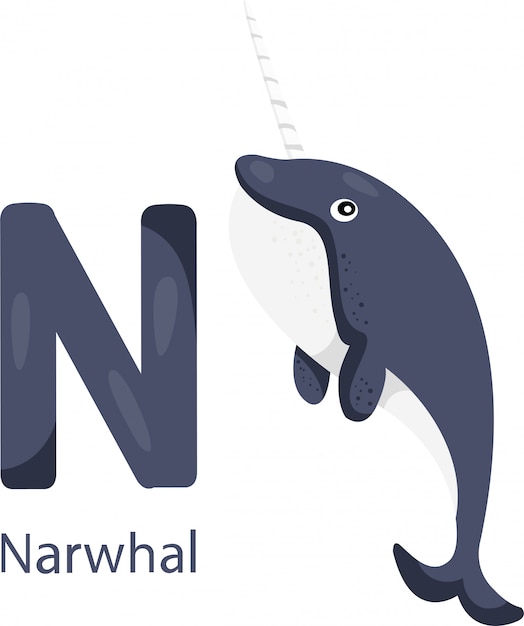Illustratore di N con narvalo