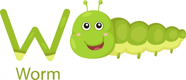 Illustratore di W con worm