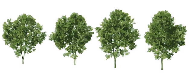 Illustrazione 3D di Forest Trees Shapes Cutout
