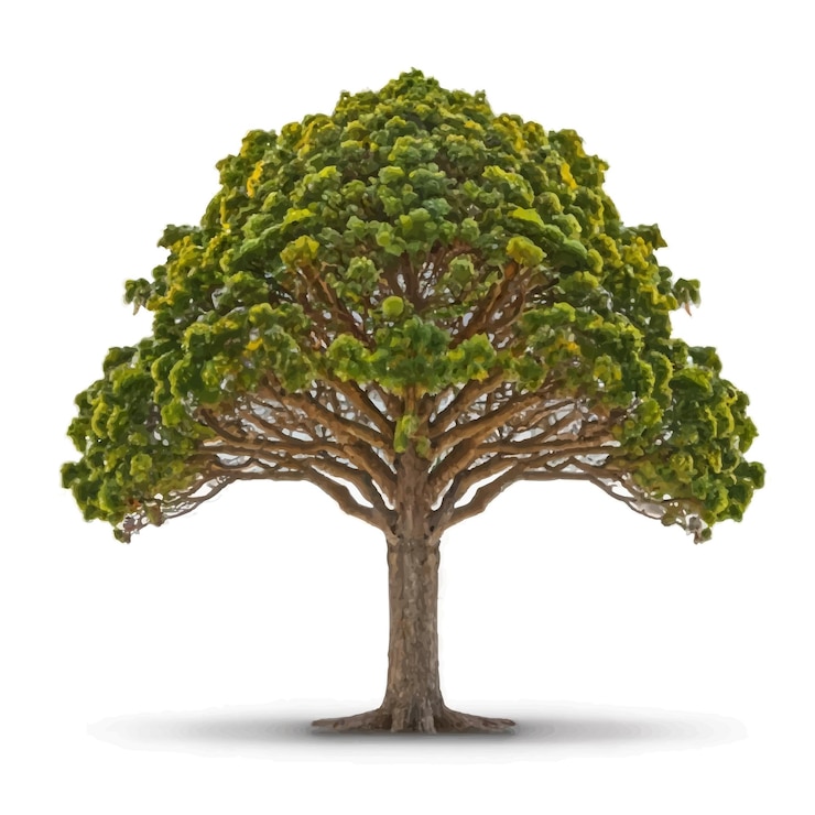 Vettore illustrazione 3d di un albero su sfondo bianco