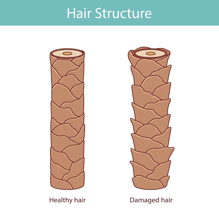 Vettore illustrazione a strati della struttura dei capelli in stile cartone animato disegnata a mano