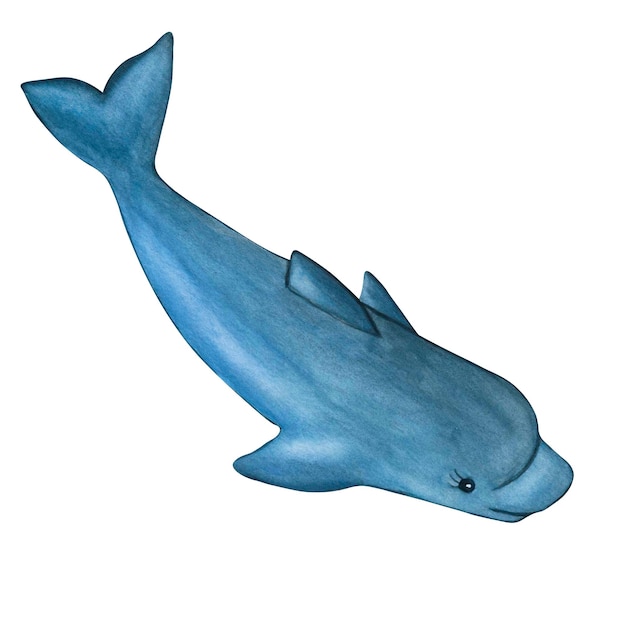 Illustrazione ad acquerello del delfino carino disegnato a mano su uno sfondo bianco isolato per bambini stampa e inviti