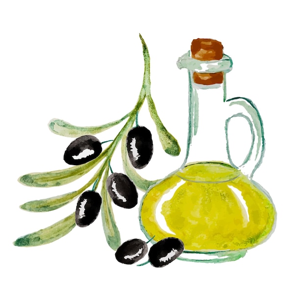 Illustrazione ad acquerello di una bottiglia di olio d'oliva ramo d'ulivo nero
