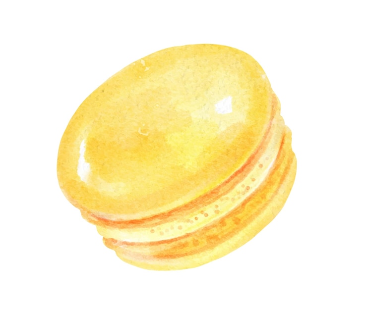 Vettore illustrazione ad acquerello dipinta a mano di macaron