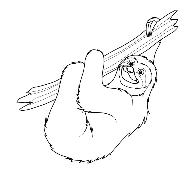 Illustrazione animale del fumetto di bradipo BW
