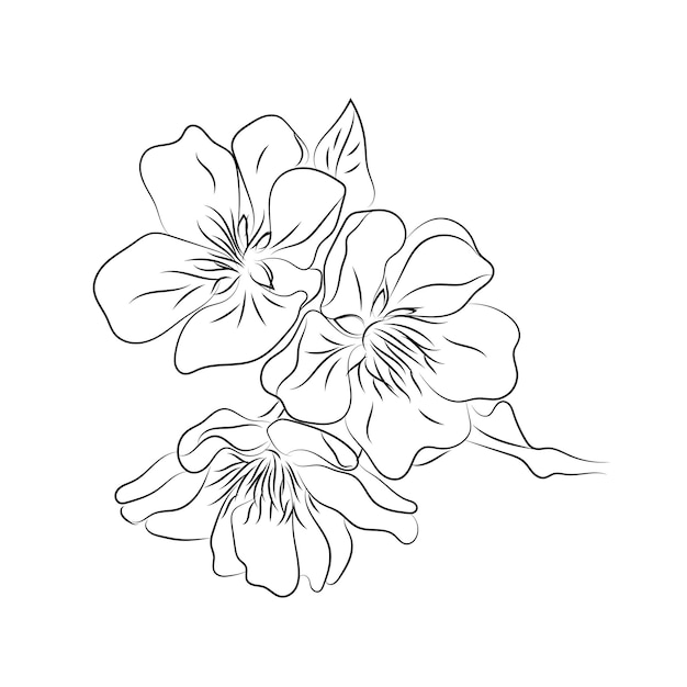 Illustrazione artistica a linee floreali disegnate a mano