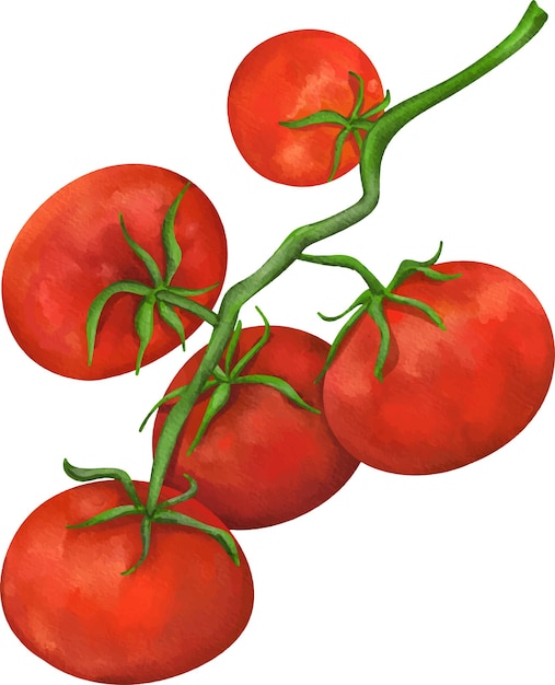 Illustrazione artistica
