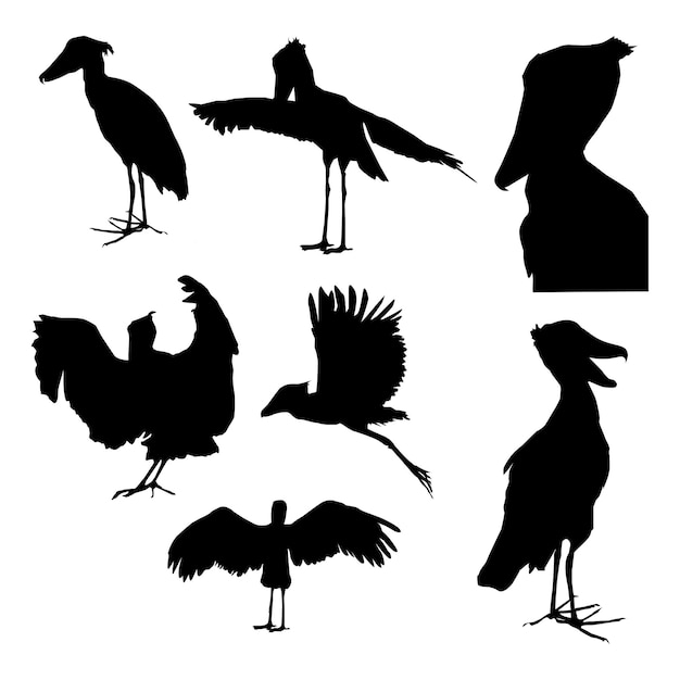 Illustrazione basata su vettori a sfondo bianco con forme di uccelli a becco di scarpa