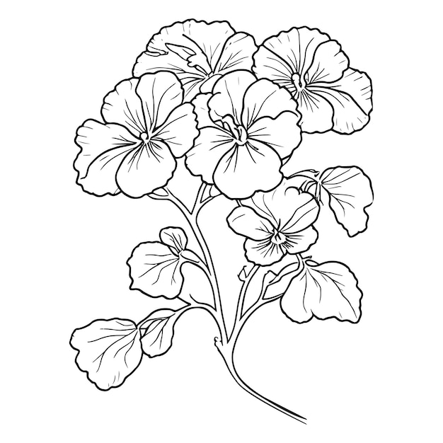 Illustrazione botanica del fiore della viola del pensiero nella viola del pensiero minimalista in bianco e nero che disegna l'arte del fiore della viola del pensiero