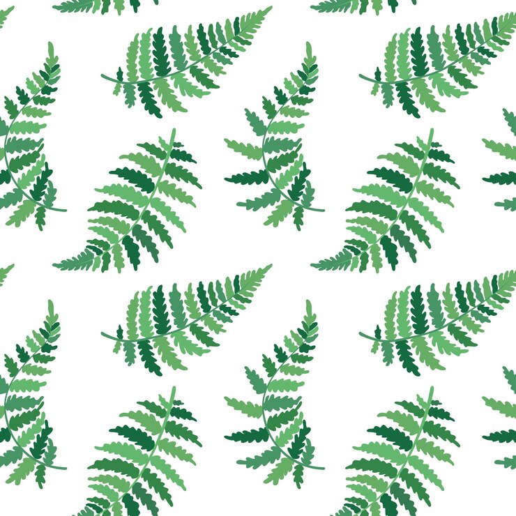 Illustrazione botanica vettoriale di foglia di felce Disegno di contorno isolato di pianta tropicale